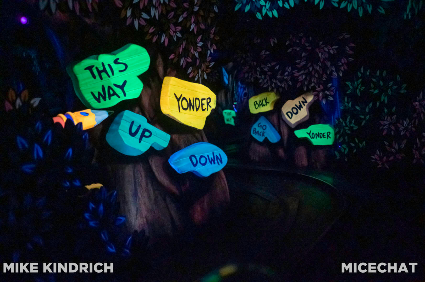 , Disneyland Update – Less is More, More or Less