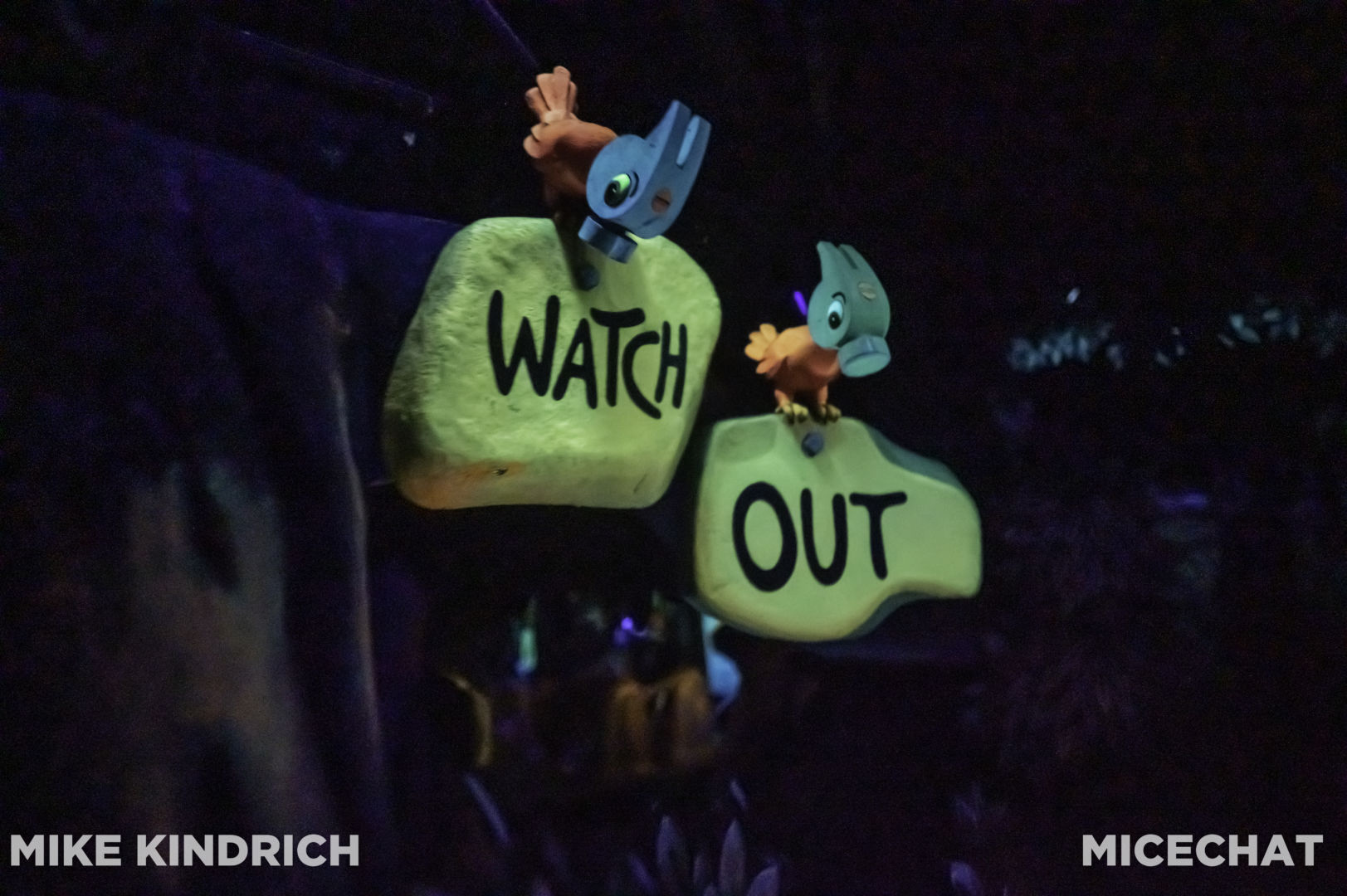 , Disneyland Update – Less is More, More or Less