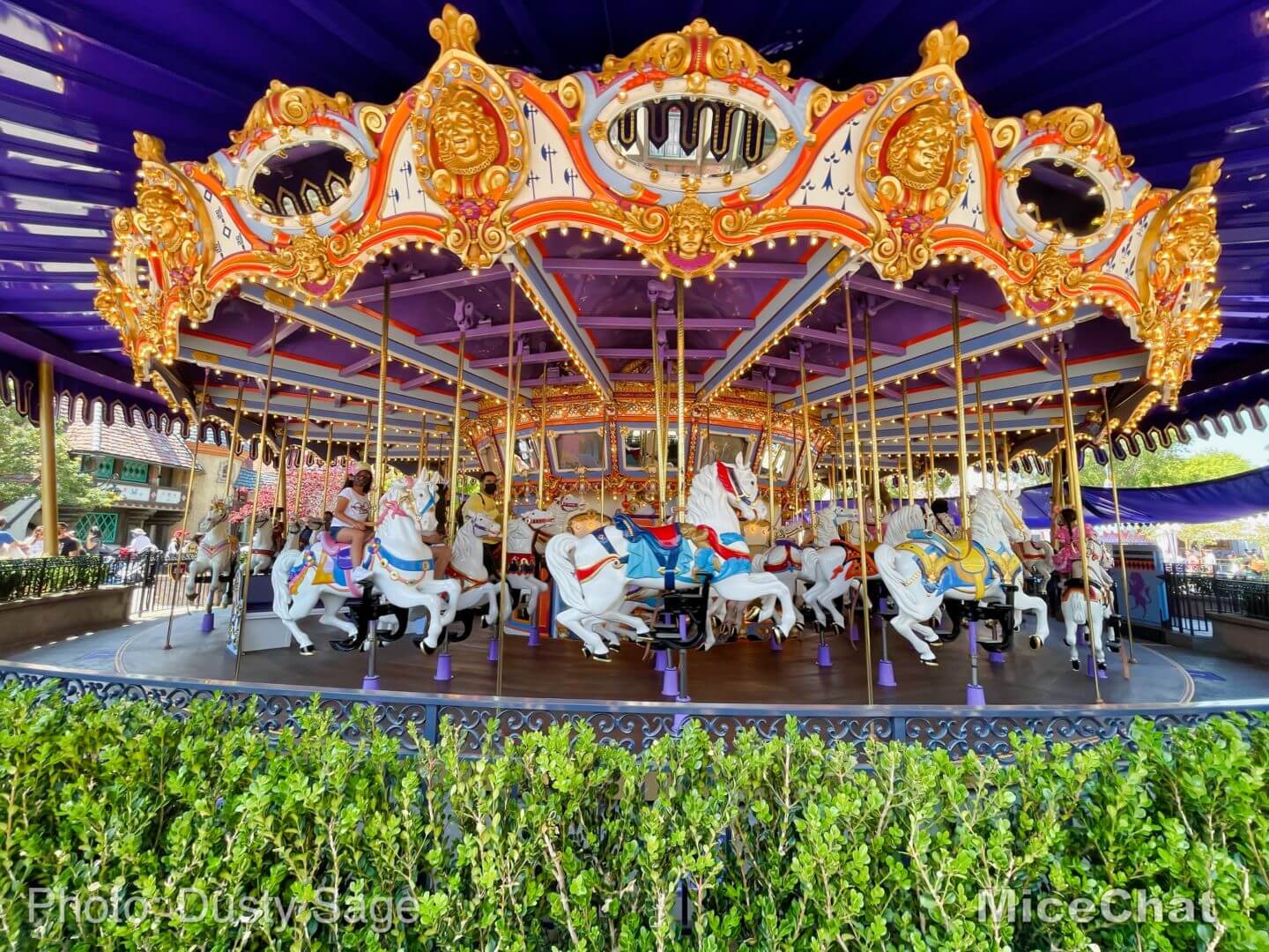 , Disneyland Update – Hurry Back!