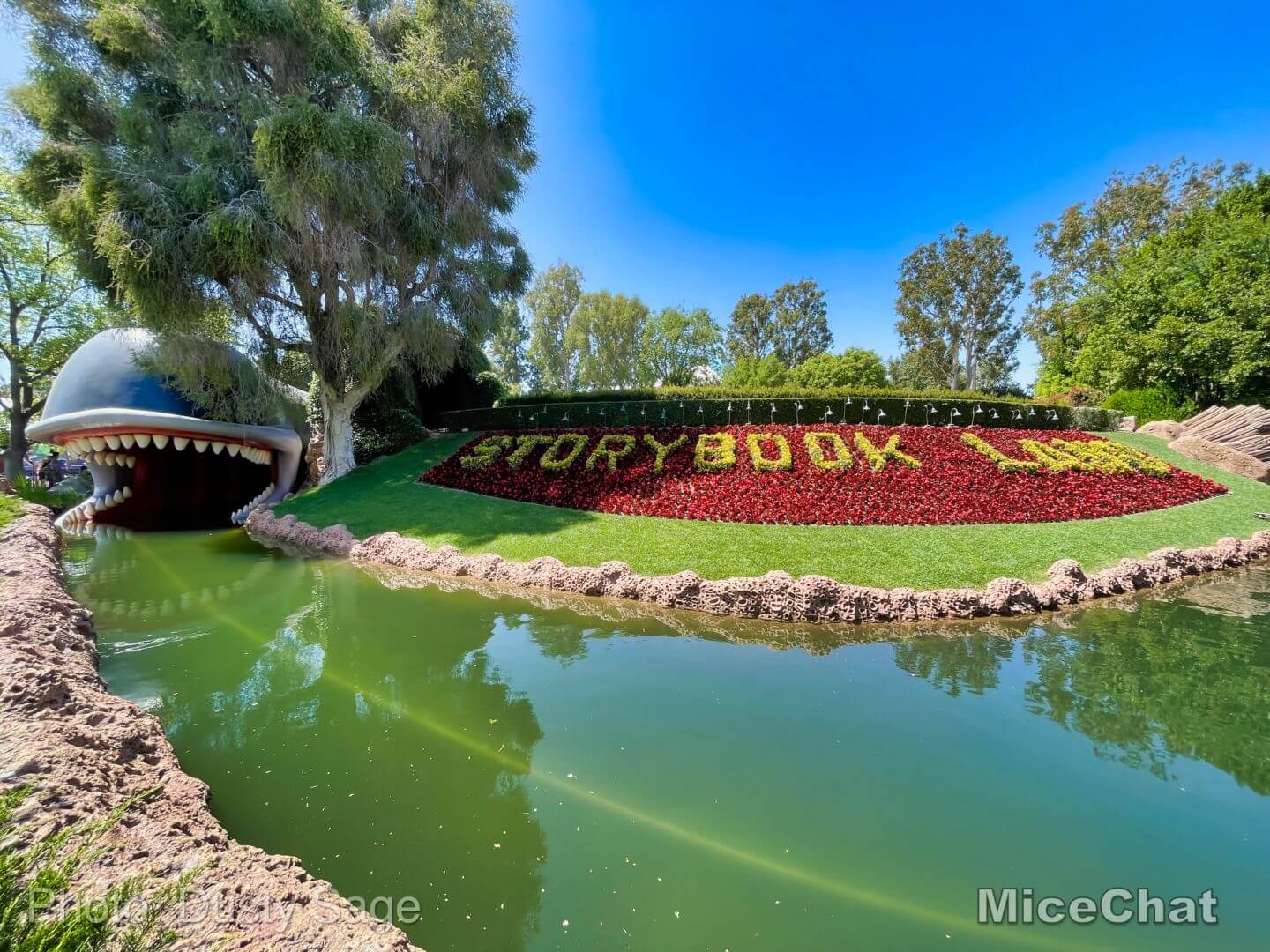 , Disneyland Update – Hurry Back!