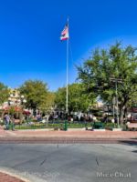 Disneyland Flag Regreat 1-micechat