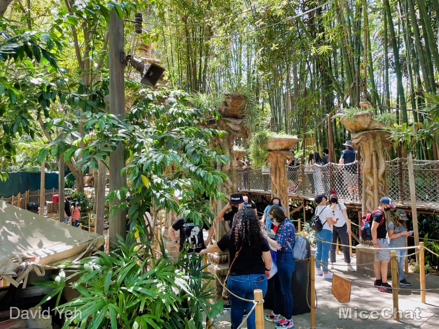 , Disneyland Update – Less is More, More or Less