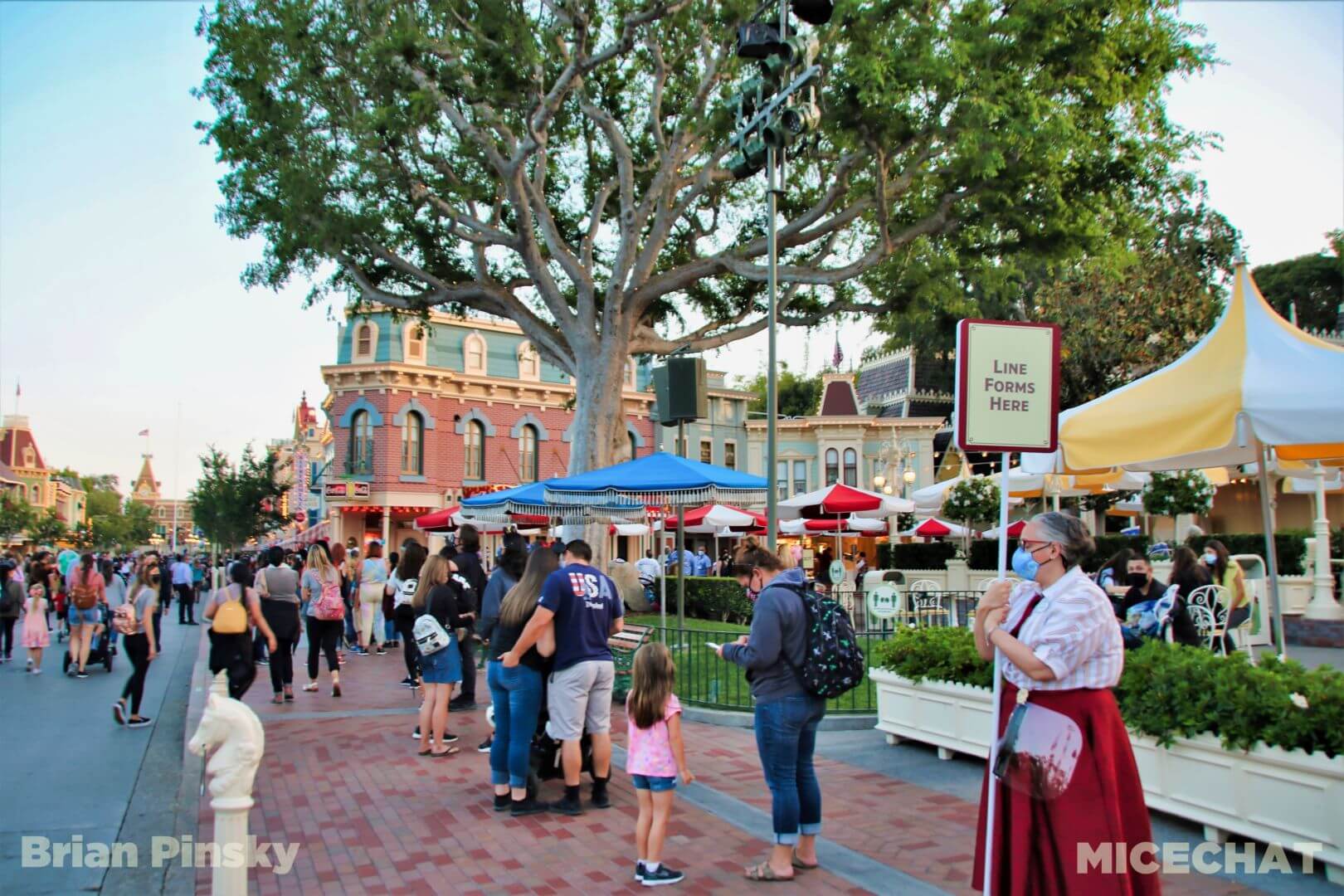 , Disneyland Update – Less is More, More or Less