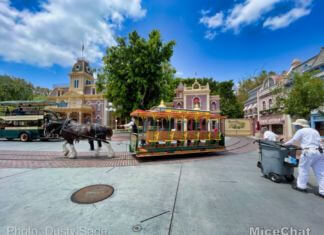 The Sweep Spot # 311 – Donna Former Disneyland Custodial Cast Member