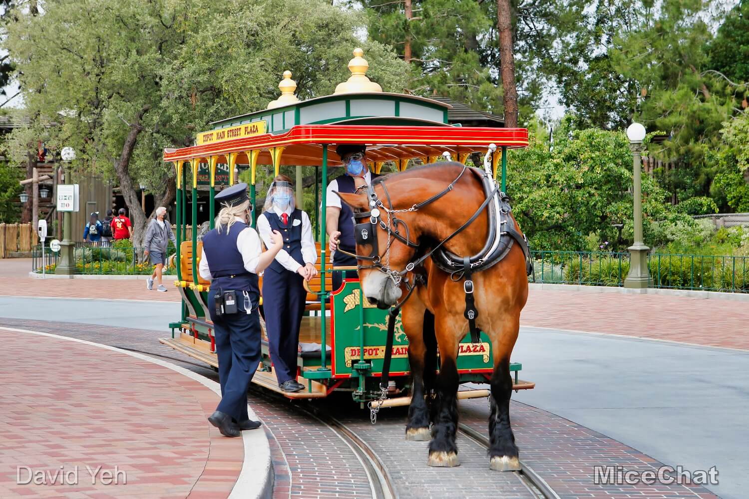 , Disneyland Update Part 2: CODE YELLOW!!!