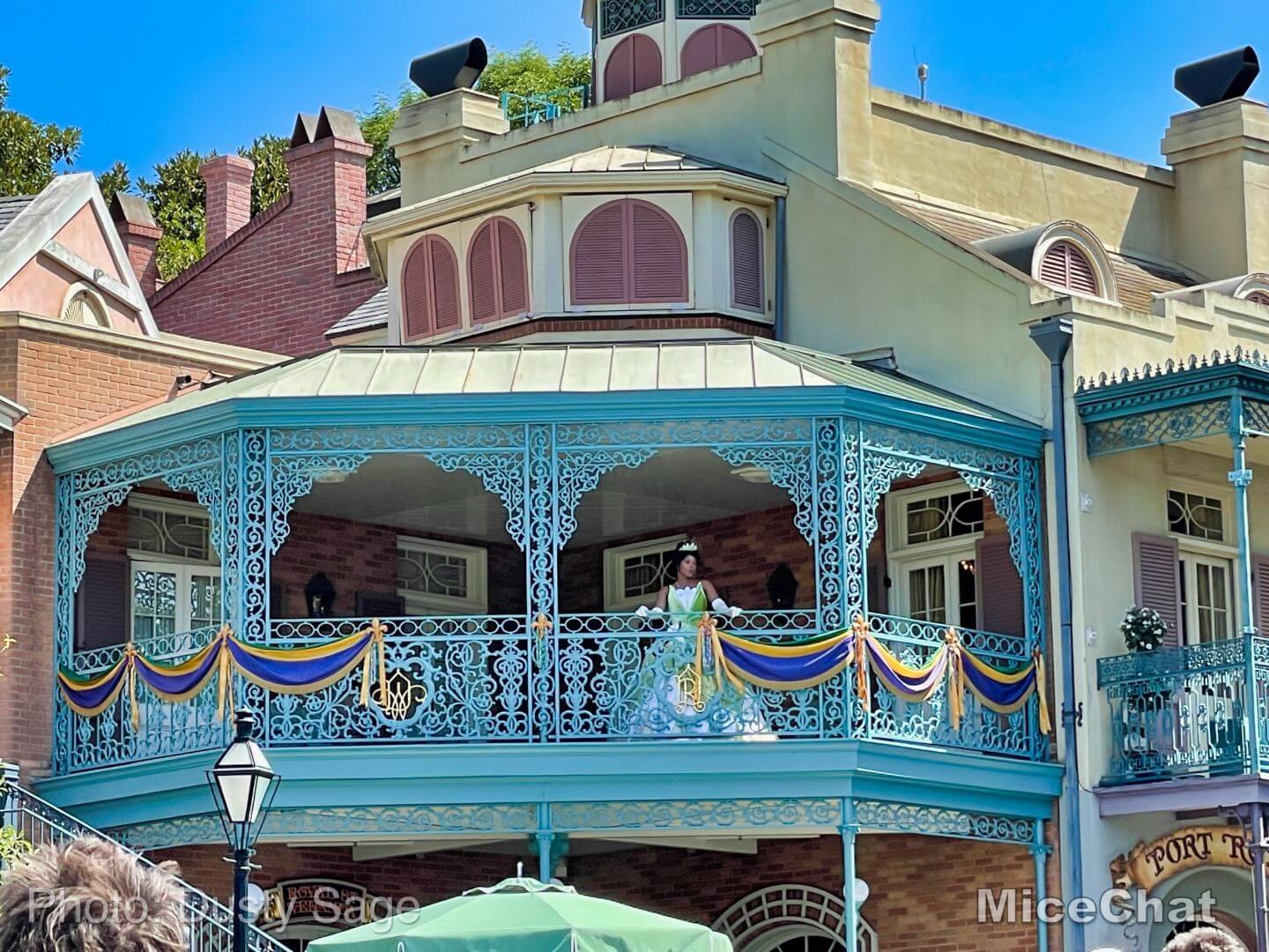, Disneyland Update – Hurry Back!