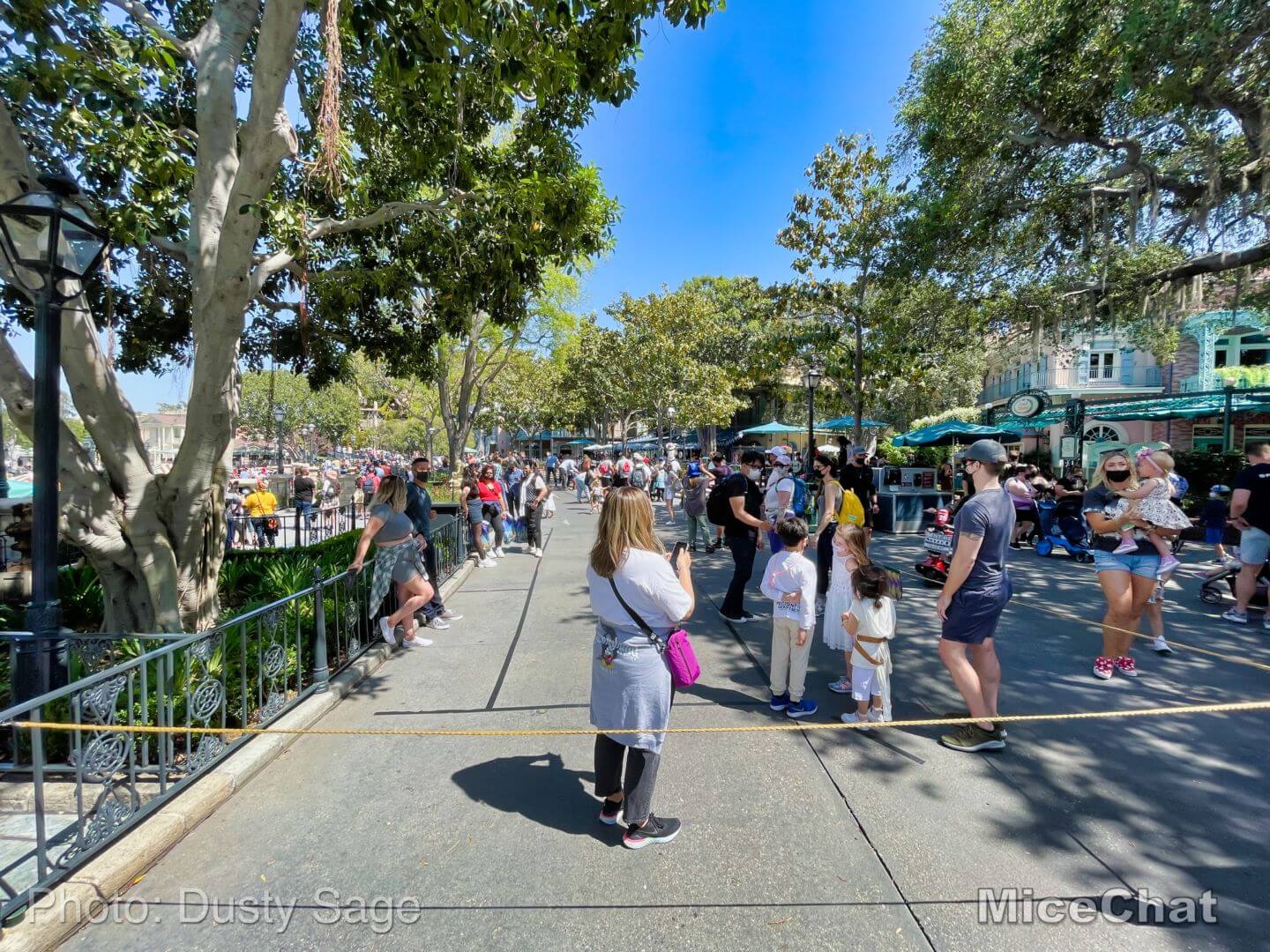 , Disneyland Update – Hurry Back!