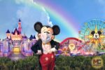 Disneyland News Update A Return to Normal