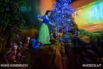 Disneyland Snow White Enchanted Wish (1 of 1)-26