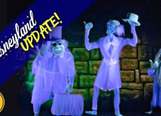 Disneyland Update – Hurry Back!