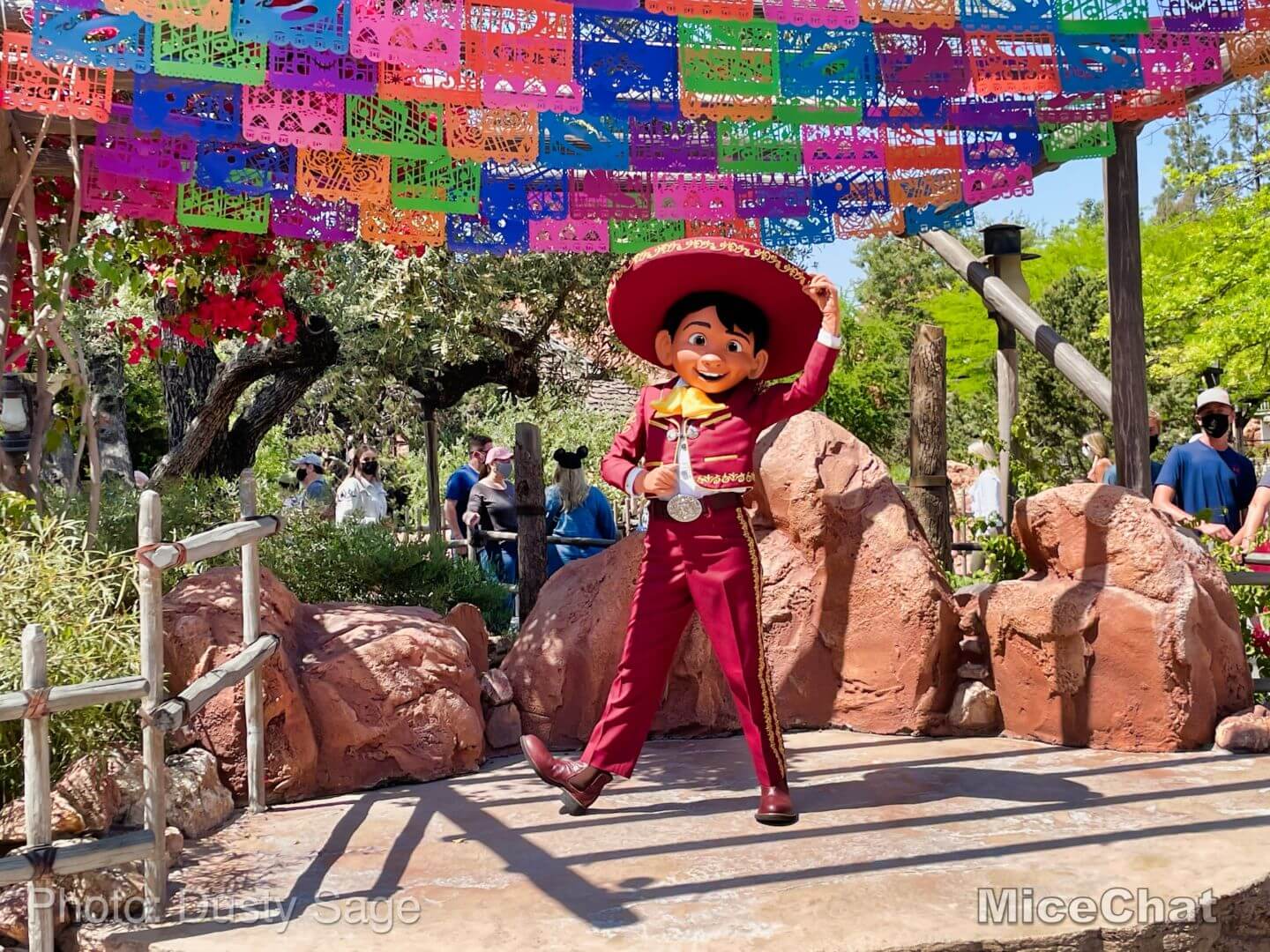, Disneyland Update – Hurry Back!