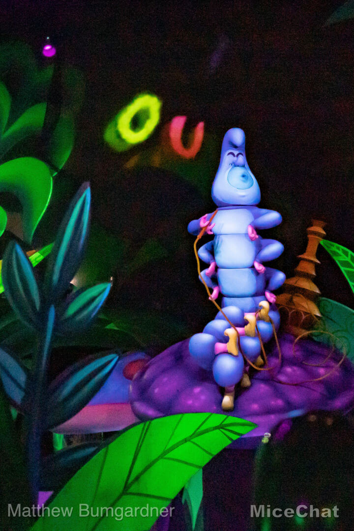 , Disneyland Update – Less is More, More or Less