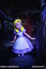 Disneyland-fantasyland Alice in Wonderland coy