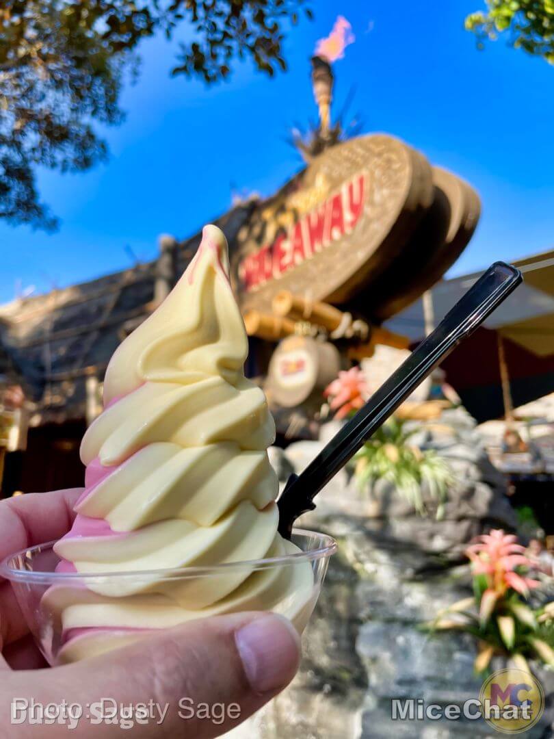 Disneyland Cool Spots, MiceShots: Disneyland’s Coolest Spots On A Hot Summer Day