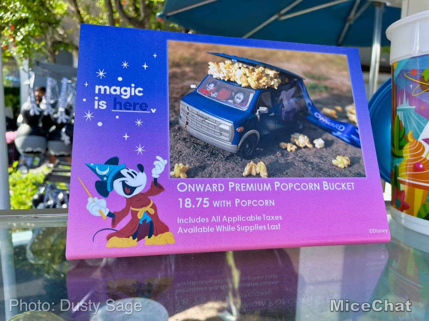 , Disneyland Update – Hurry Back!