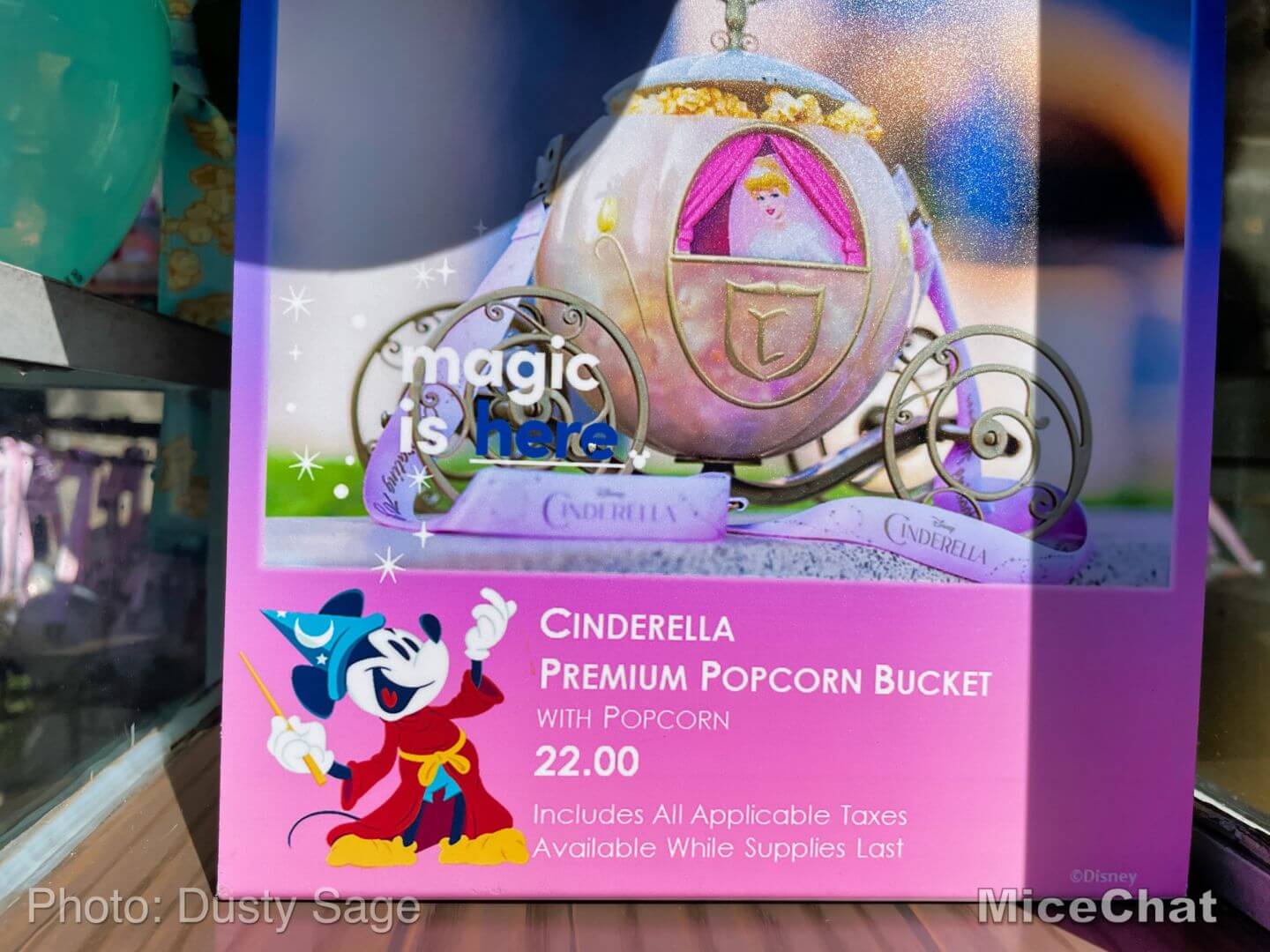 , Disneyland Update – Hurry Back!