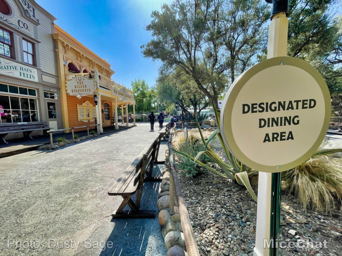 , Disneyland Update – Hurry Back!