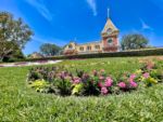 Disneyland main Gate Floral