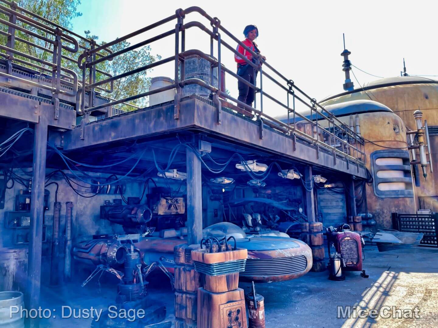 , Disneyland Update – Hurry Back!