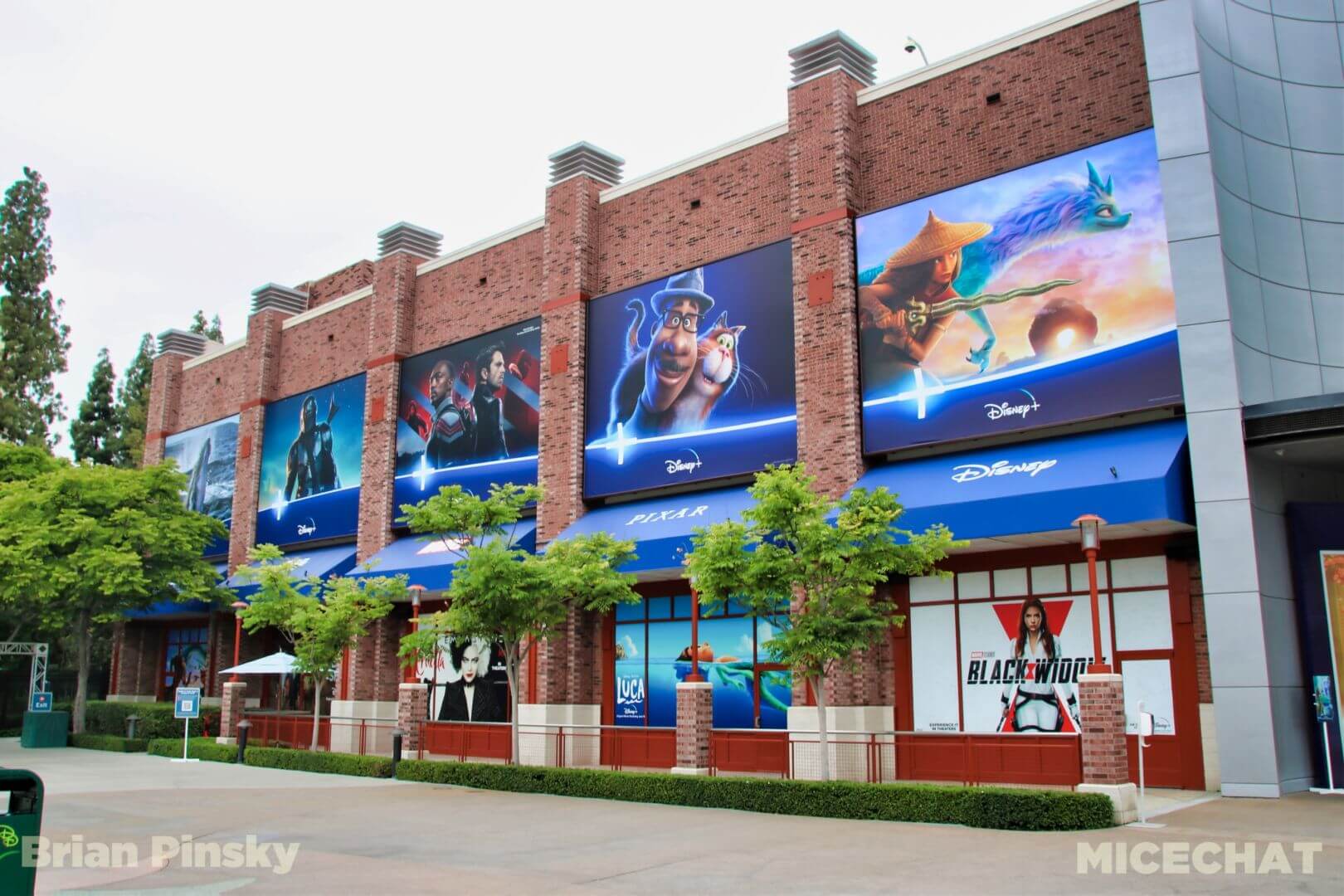 , Disneyland Update Part 2: CODE YELLOW!!!