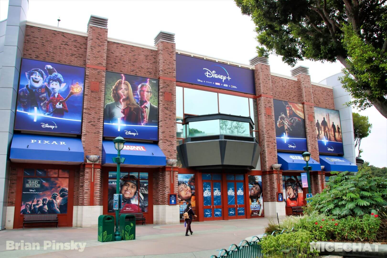 , Disneyland Update Part 2: CODE YELLOW!!!