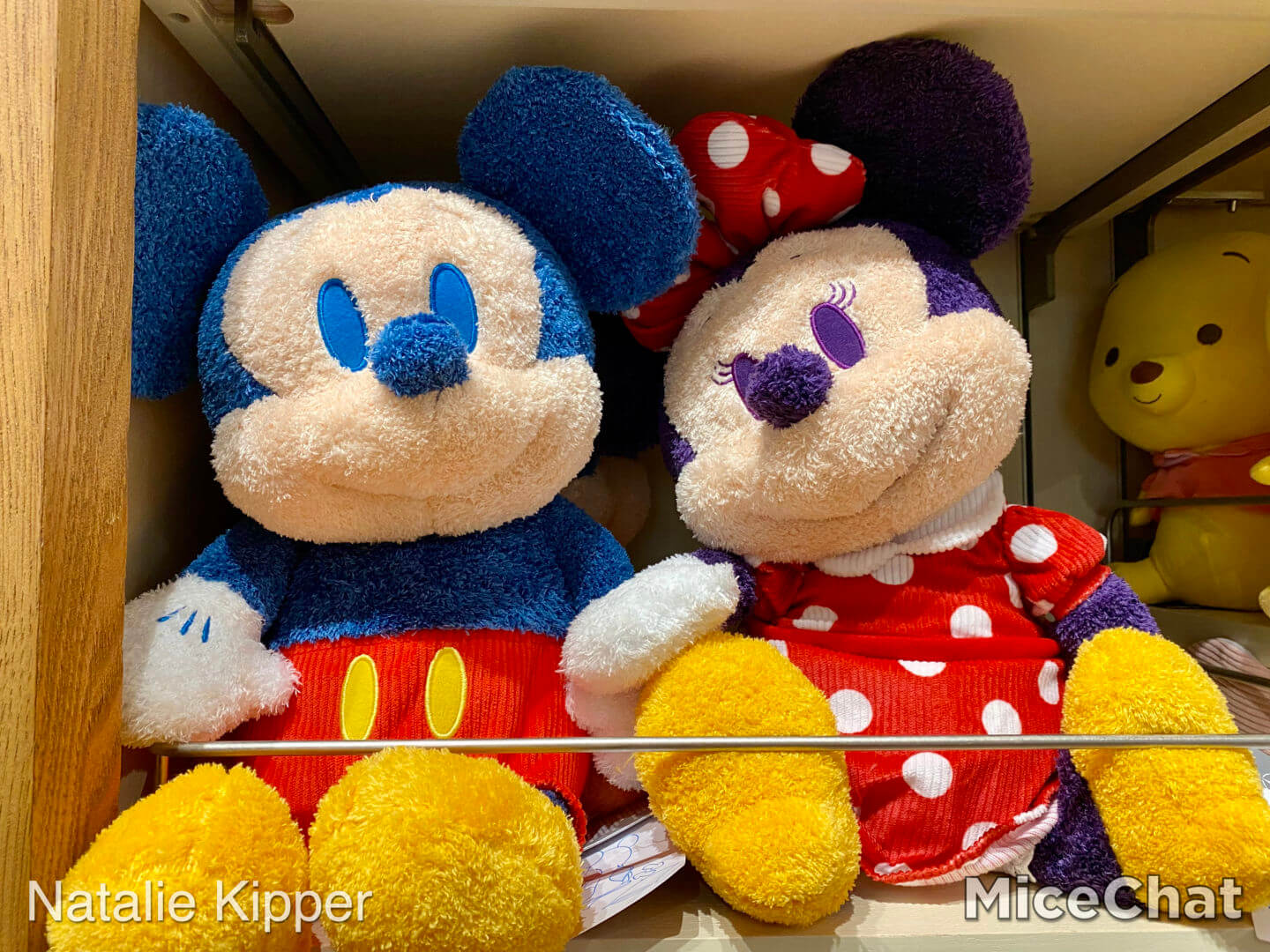 , Disneyland Merchandise Update: Retail Therapy