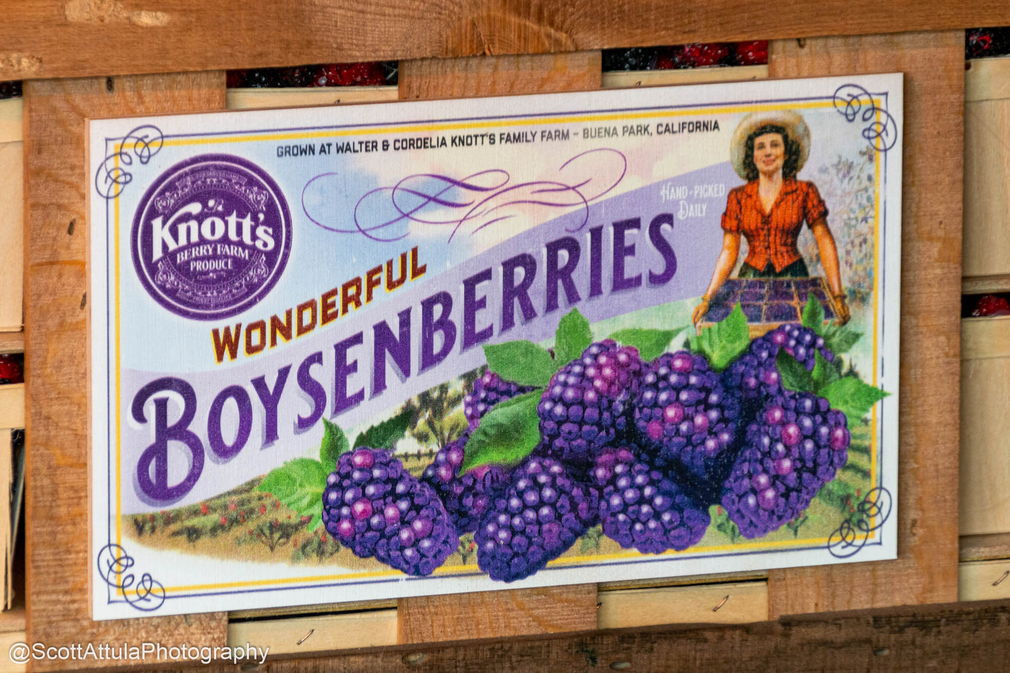 , Knott’s Berry Farm 100th Anniversary Harvests Music and Nostalgic Fun