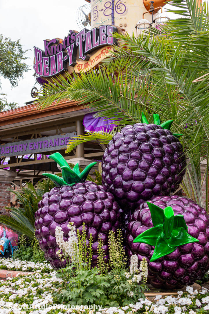 , Knott’s Berry Farm 100th Anniversary Harvests Music and Nostalgic Fun