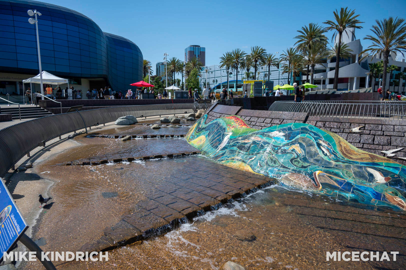 , Long Beach Aquarium of the Pacific is Oceans of Fun