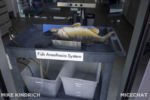 Long Beach AOP-Animal Hospital (1 of 1)-2