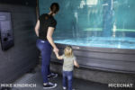 Long Beach AOP-Animal Hospital-Holding Tanks (1 of 1)-2