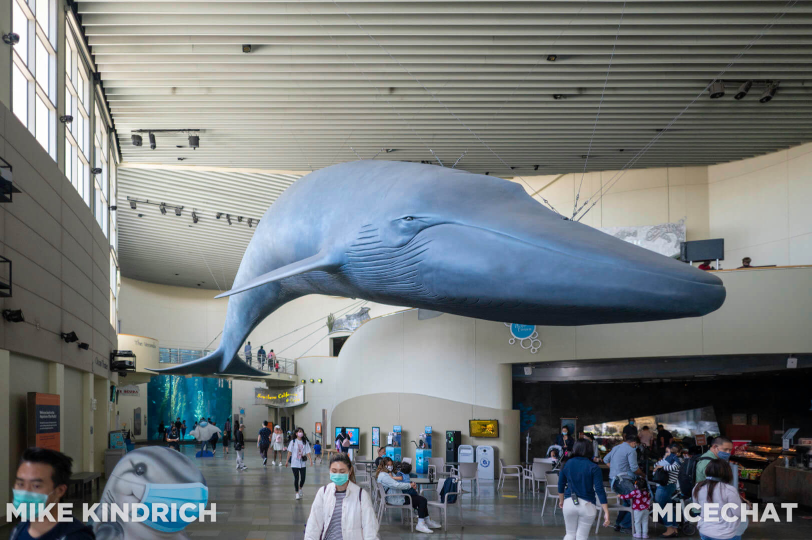 , Long Beach Aquarium of the Pacific is Oceans of Fun