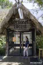 Long Beach AOP-Lorikeet Forest (1 of 1)