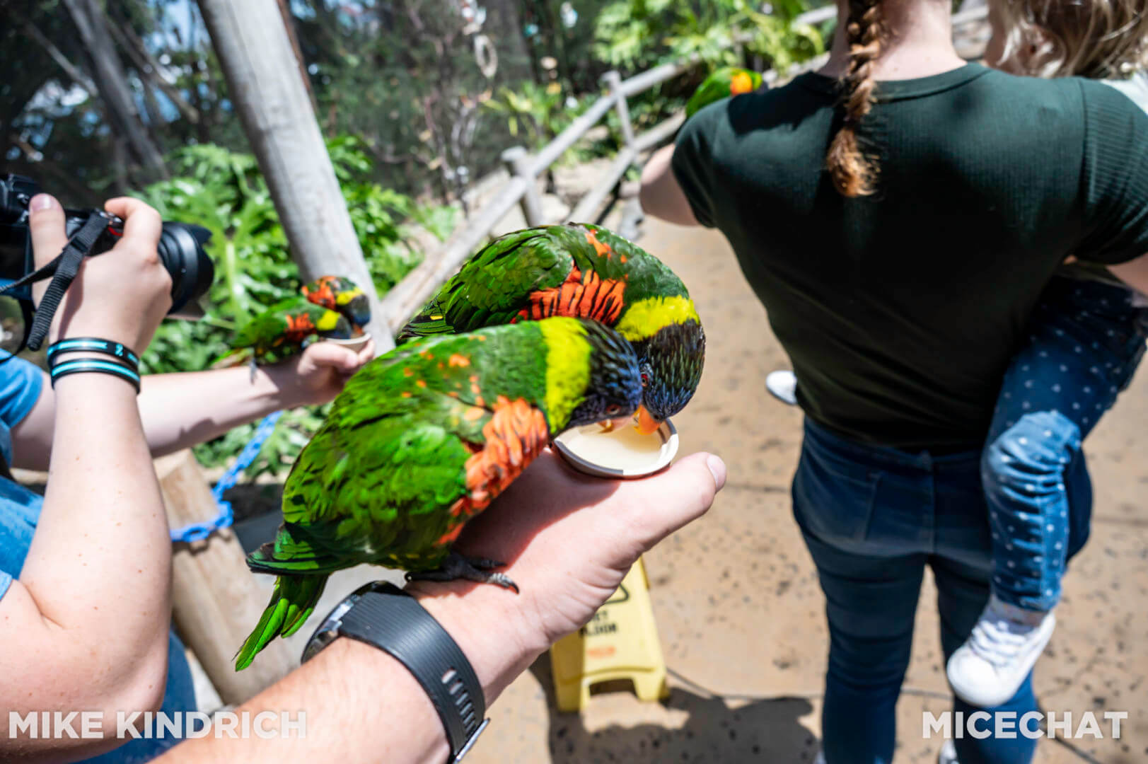 , Long Beach Aquarium of the Pacific is Oceans of Fun