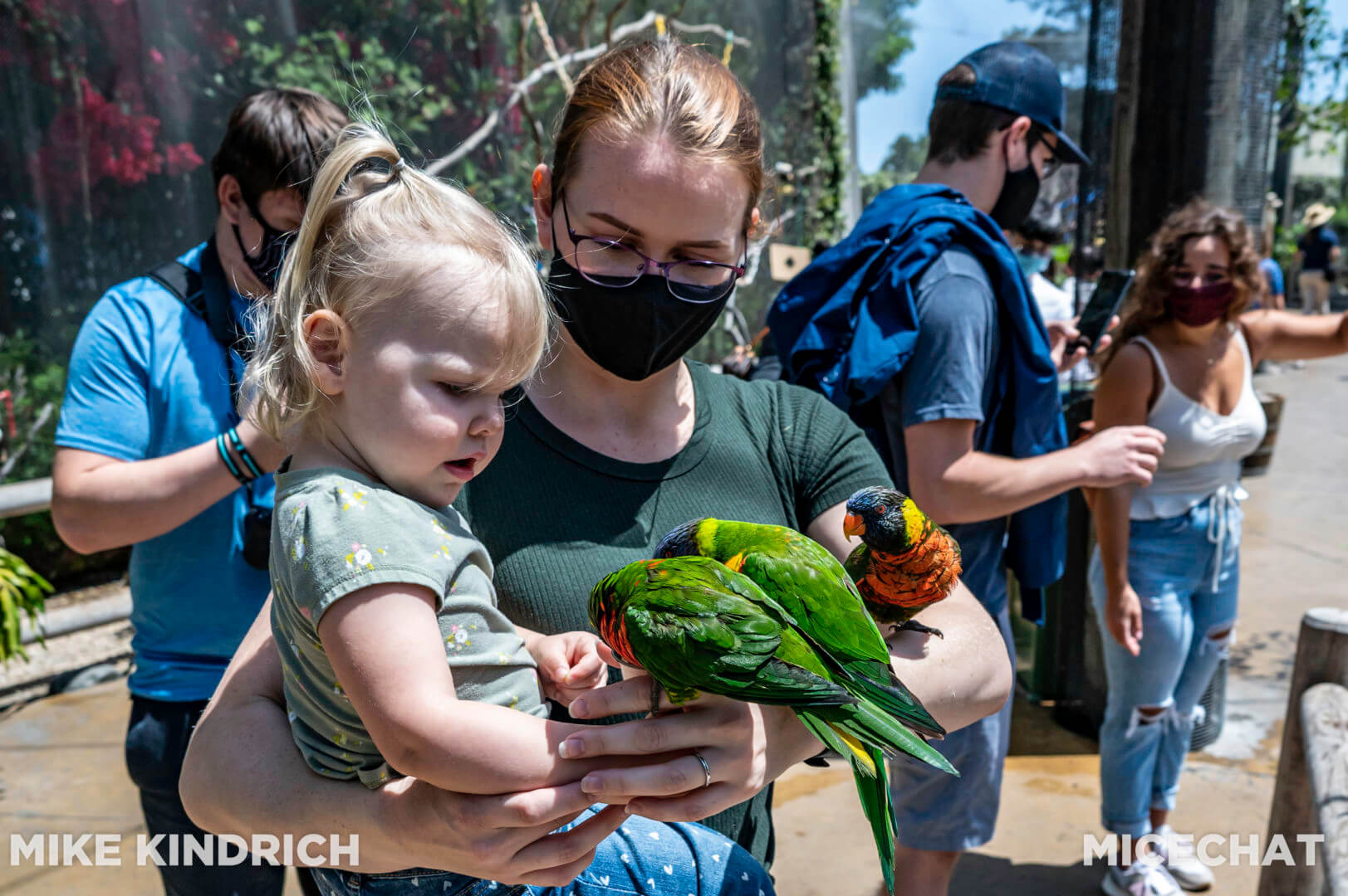 , Long Beach Aquarium of the Pacific is Oceans of Fun