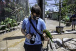 Long Beach AOP-Lorikeet Forest (1 of 1)-9