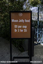 Long Beach AOP-Moon Jelly Touch and Feed Tank (1 of 1)-2