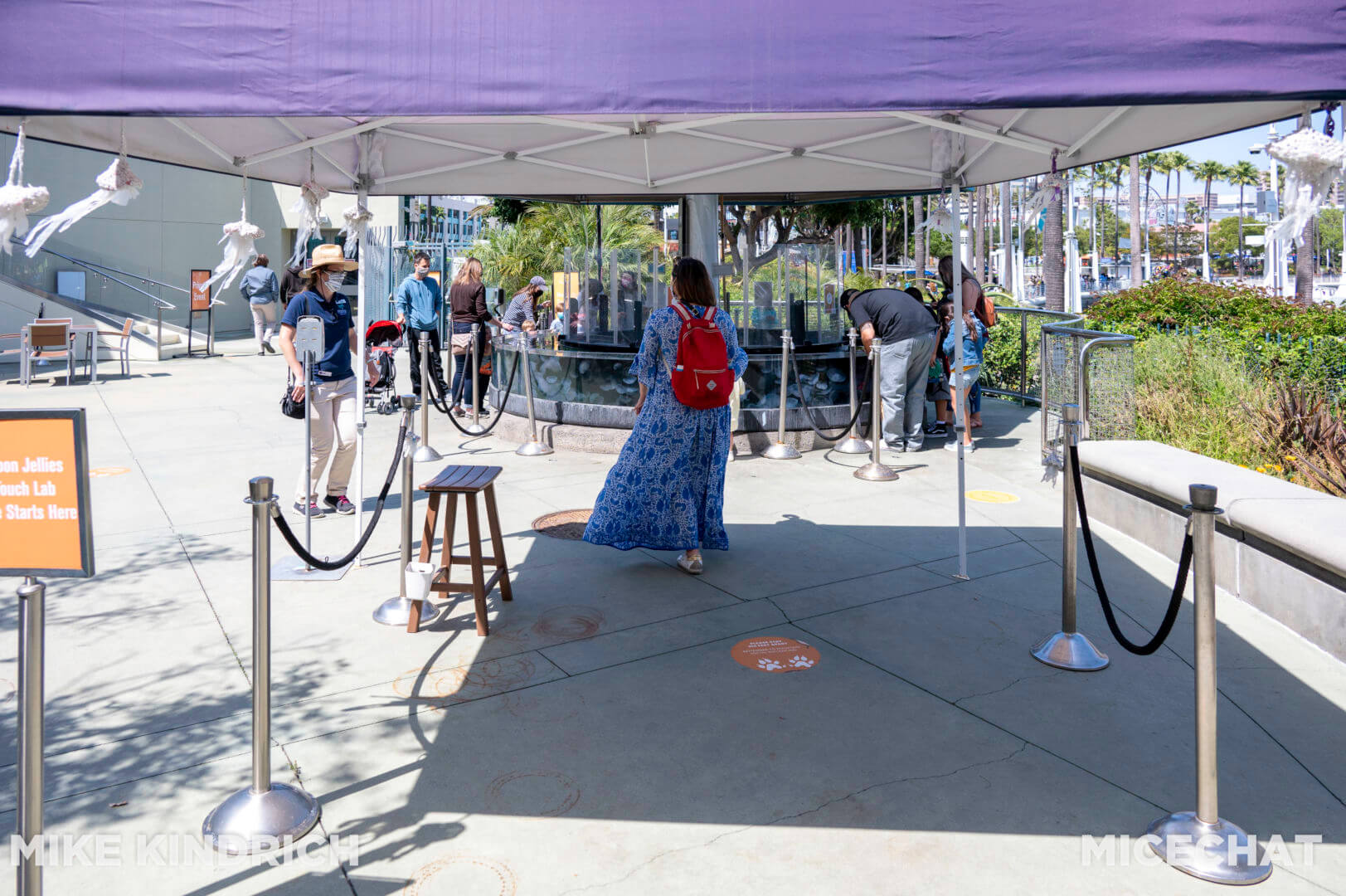 , Long Beach Aquarium of the Pacific is Oceans of Fun