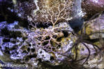 Long Beach AOP-Northern Pacific Hall (1 of 1)-30