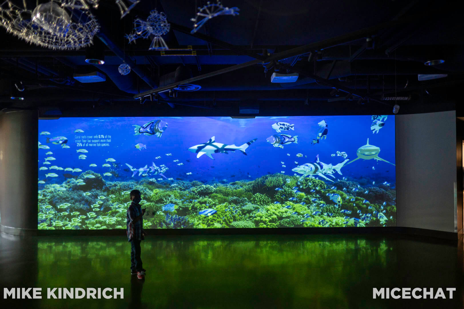 , Long Beach Aquarium of the Pacific is Oceans of Fun