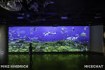 Long Beach AOP-Pacific Visions Wing (1 of 1)-5