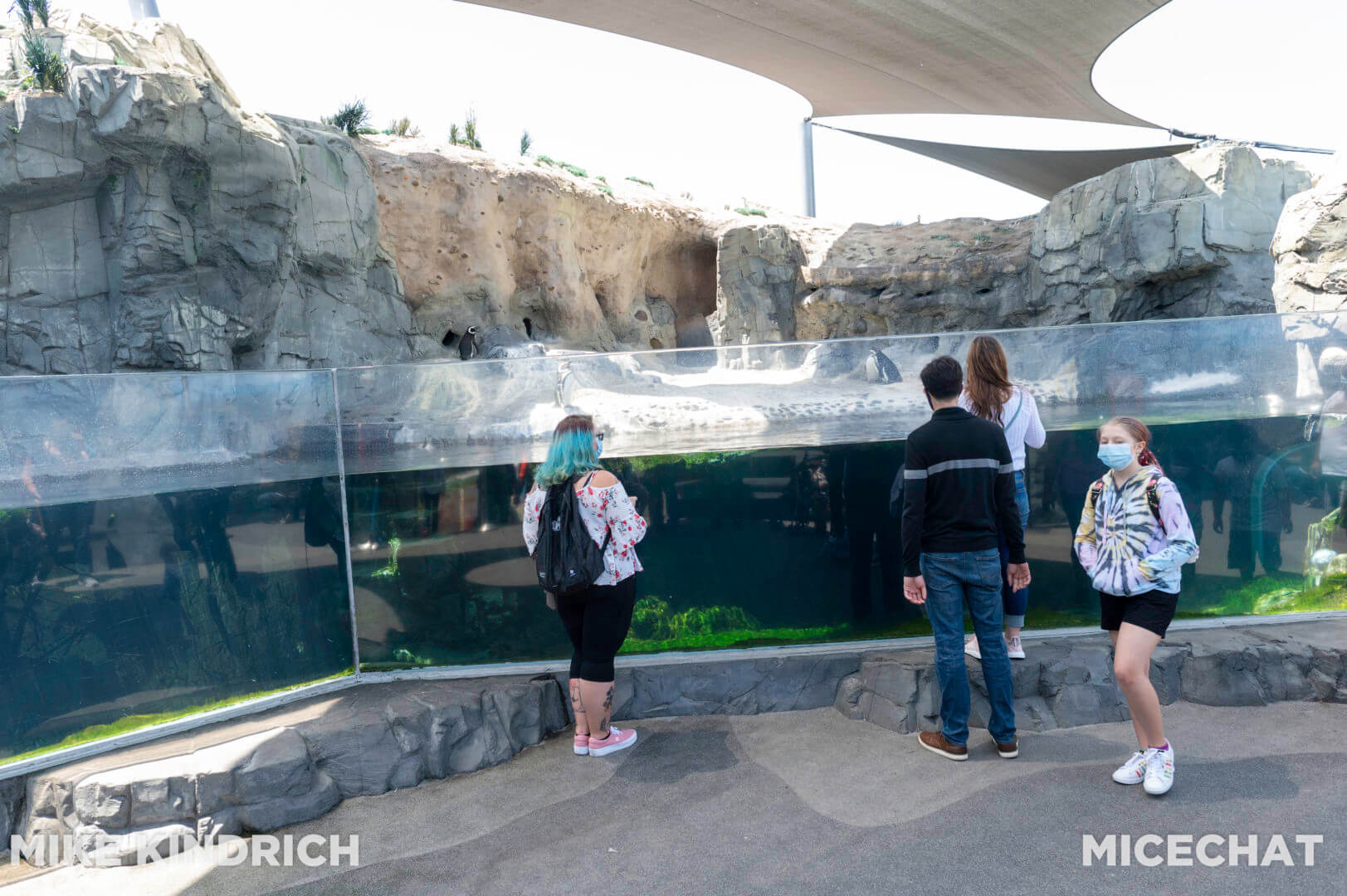 , Long Beach Aquarium of the Pacific is Oceans of Fun