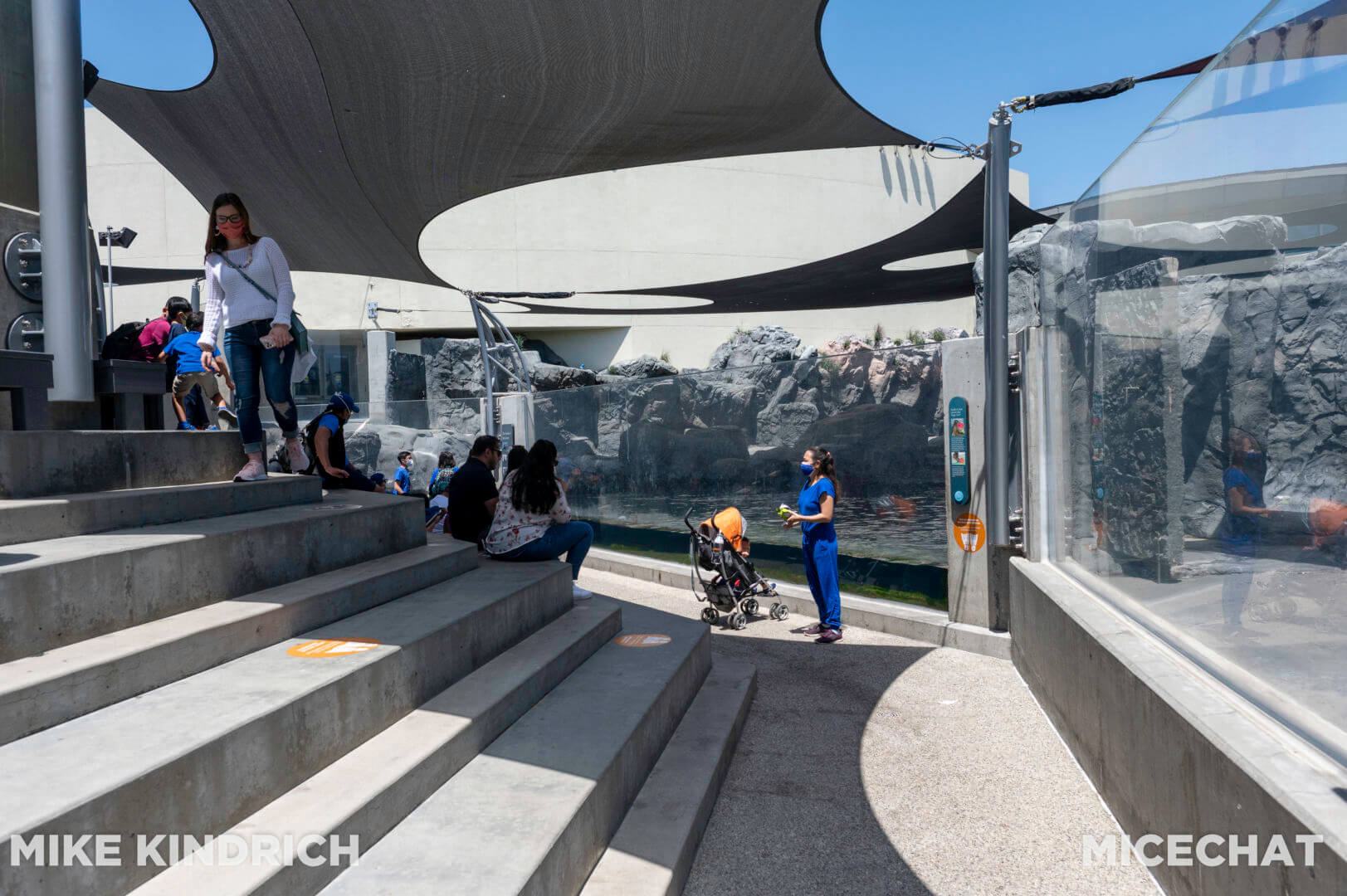 , Long Beach Aquarium of the Pacific is Oceans of Fun