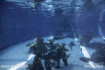 Long Beach AOP-Shark Lagoon (1 of 1)