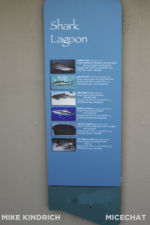 Long Beach AOP-Shark Lagoon (1 of 1)-5