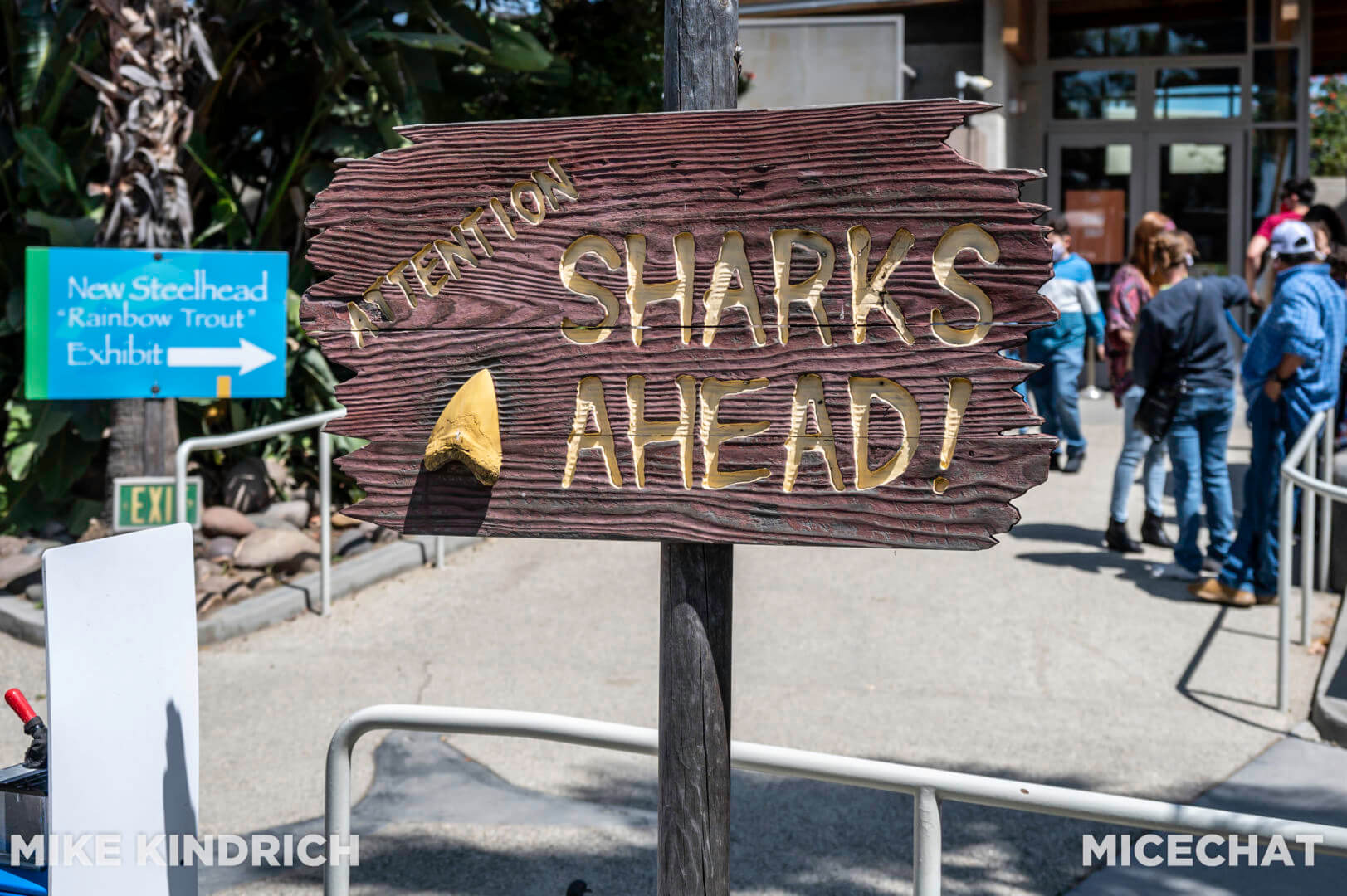 , Long Beach Aquarium of the Pacific is Oceans of Fun