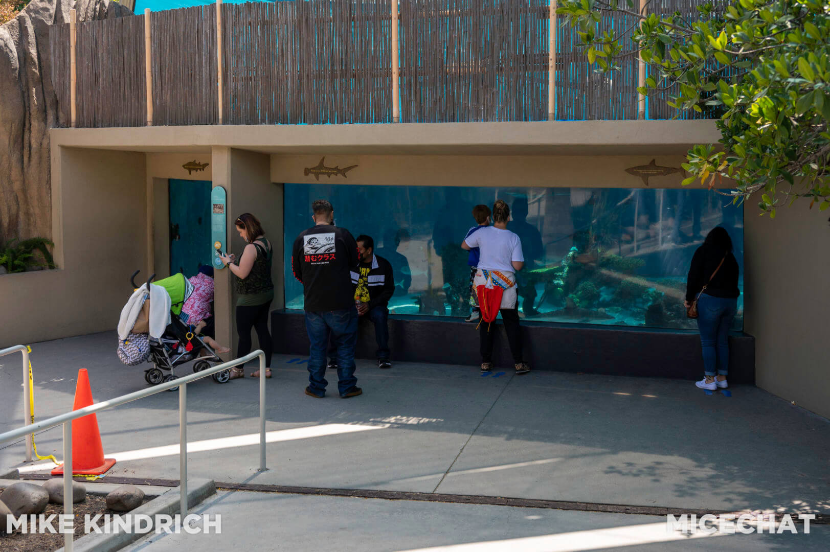 , Long Beach Aquarium of the Pacific is Oceans of Fun