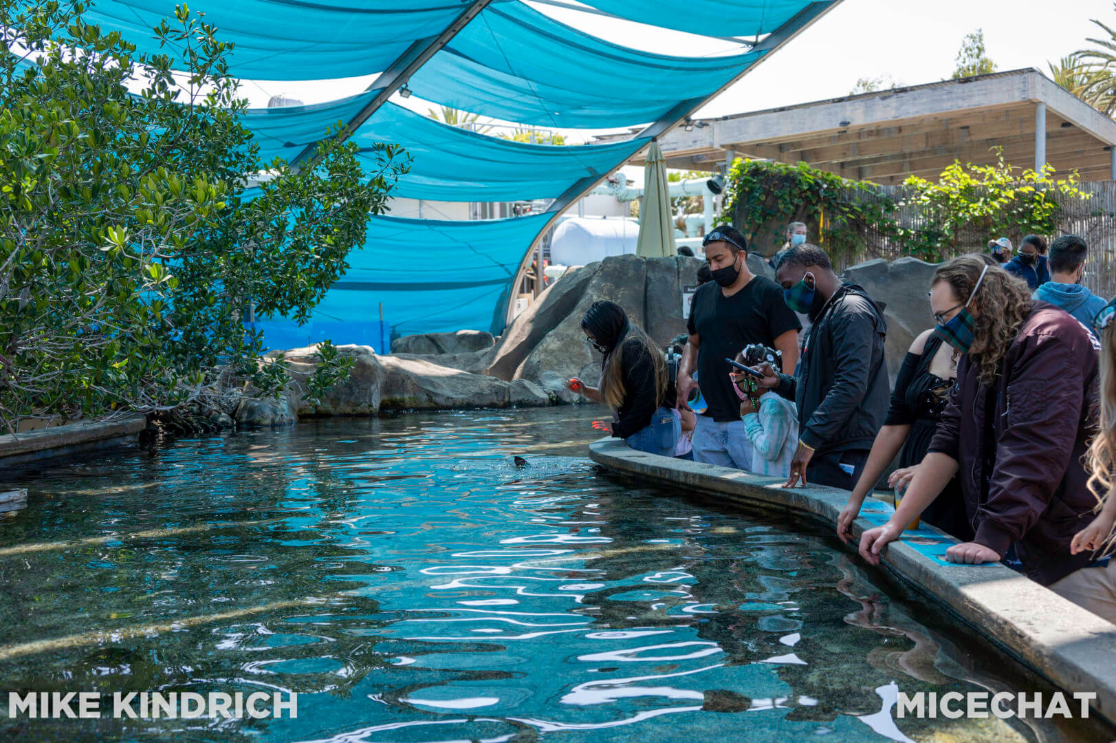 , Long Beach Aquarium of the Pacific is Oceans of Fun