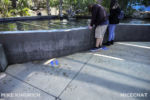 Long Beach AOP-Touch Tank (1 of 1)-2