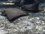 DCIM100GOPROGOPR4389.JPG